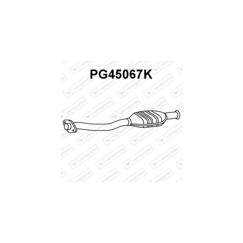 Katalizator CITROËN / PEUGEOT - 170631 173113 173160