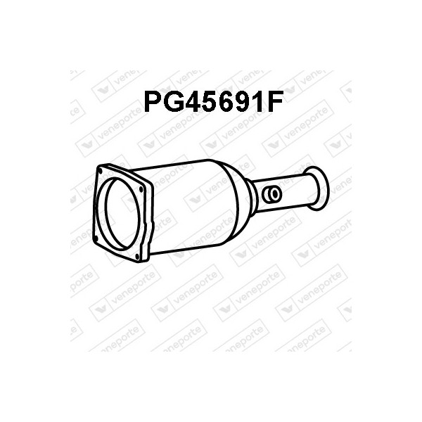Filtry cząstek stałych DPF PEUGEOT - 1731N7 1731S6 174003