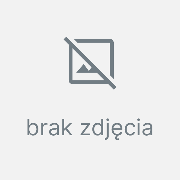 Tłumiki, kolektory Honda